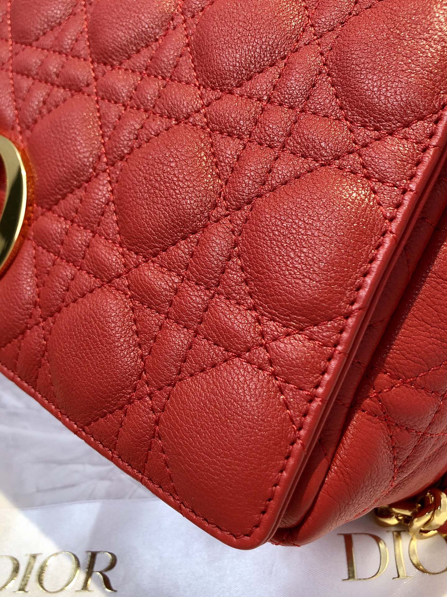 D*or 2021 caro bag-28*17*9cm