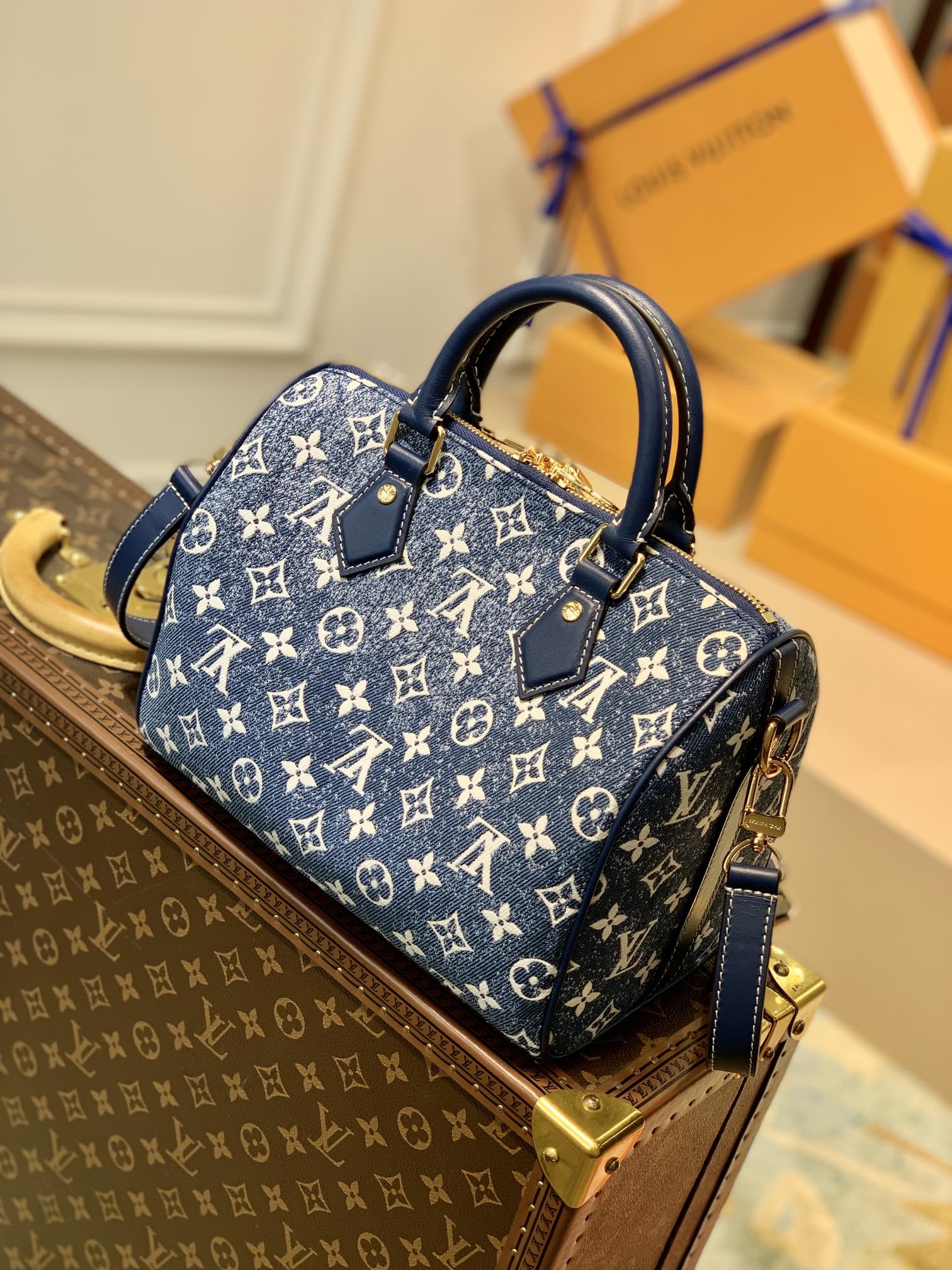 l0*is V*t0n speedy 25-25*19*15cm