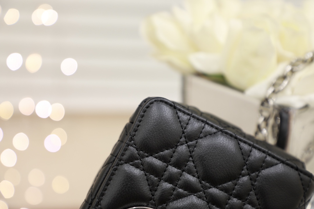 D*or 2021 caro bag-20*3*11cm