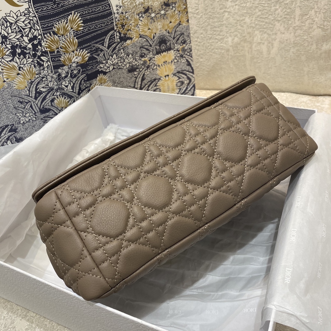D*or 2021 medium caro bag-25.5*15*8cm