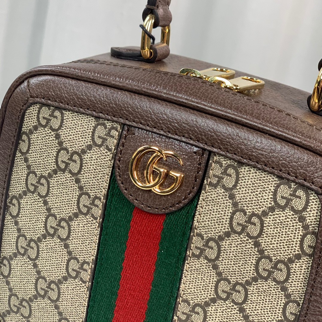Gvc*1 ophidia bag-17*16.5*9.5cm