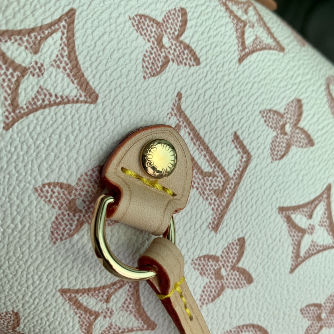 l0*is V*t0n neverfull m46102-32*29*17cm