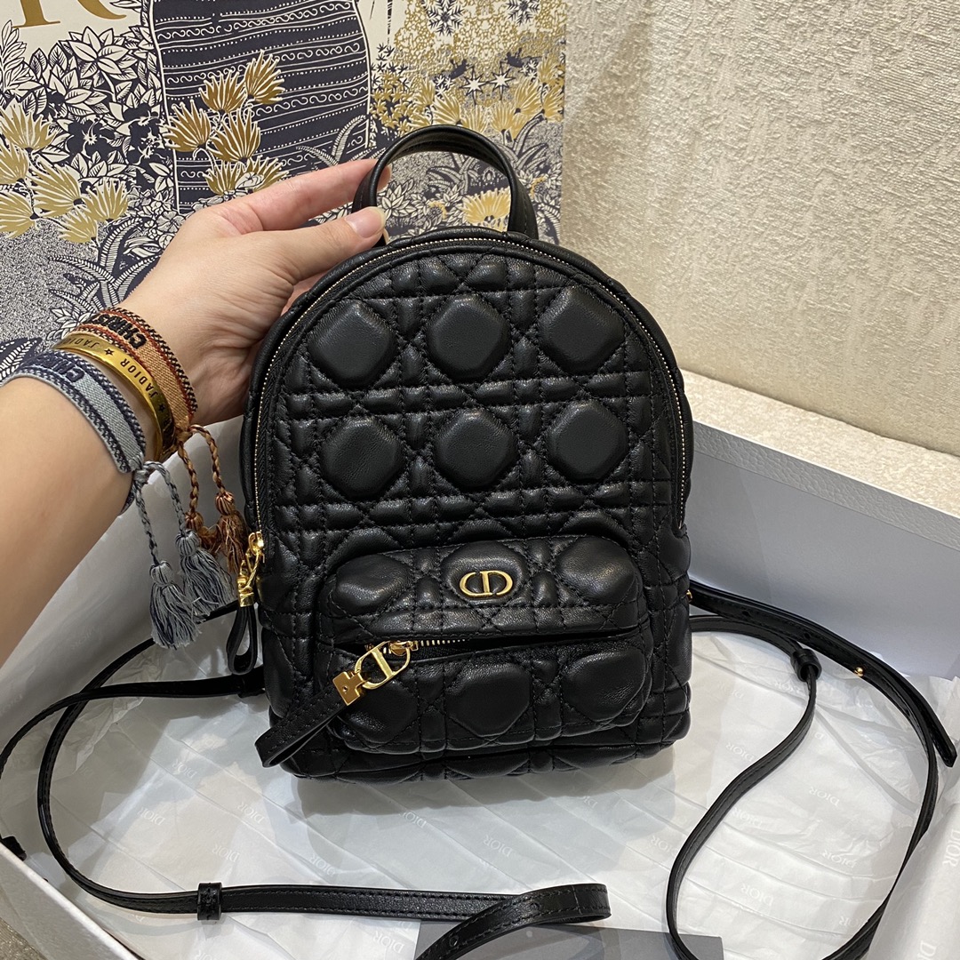 D*or backpack