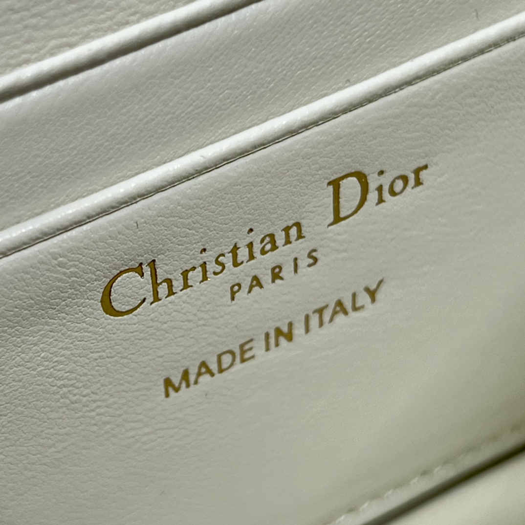 lady D*or bag-21 x 11.5 x 4.5cm