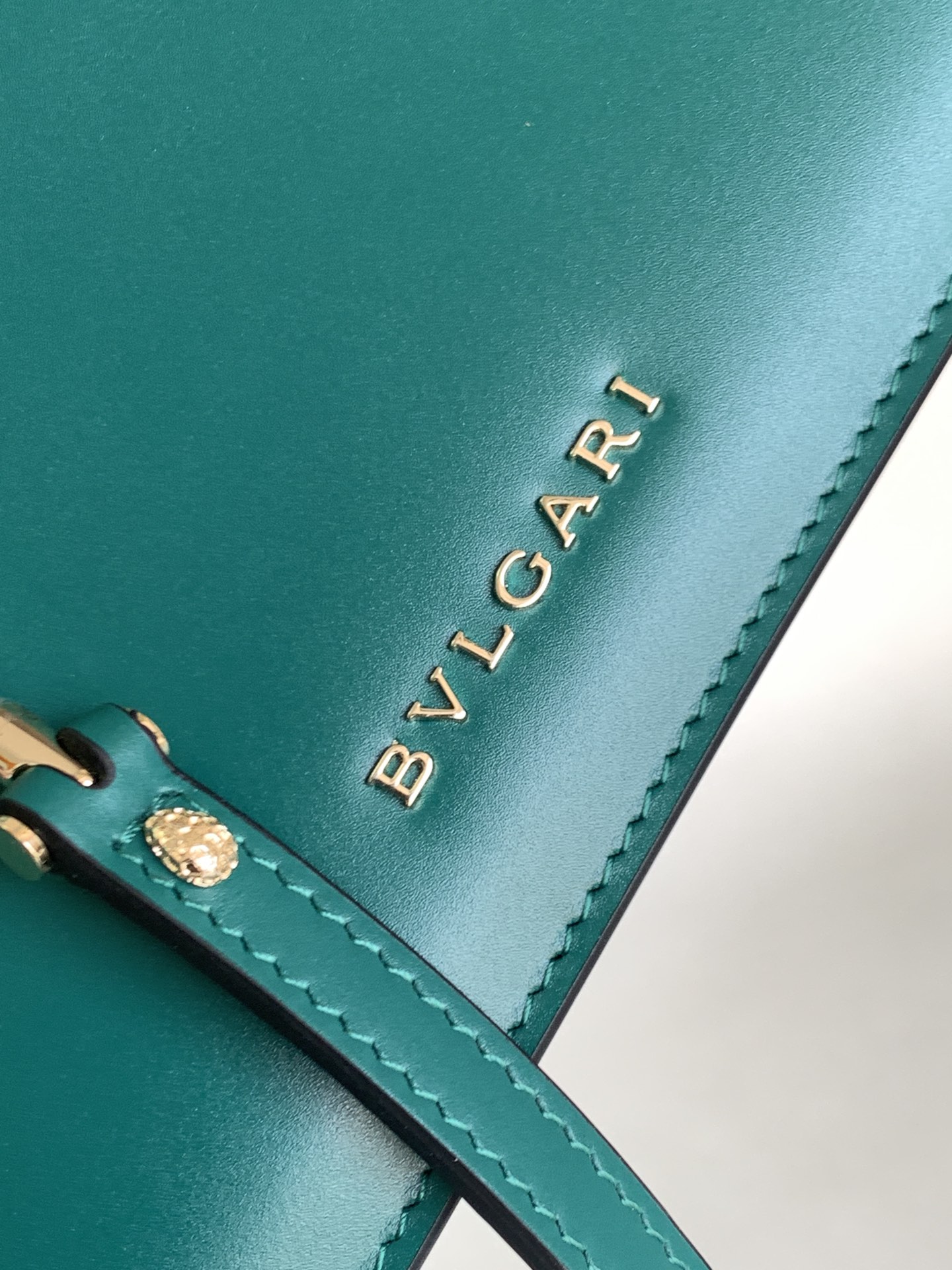 B*l*ai serpenti forever bag-22.5*18.5*1cm