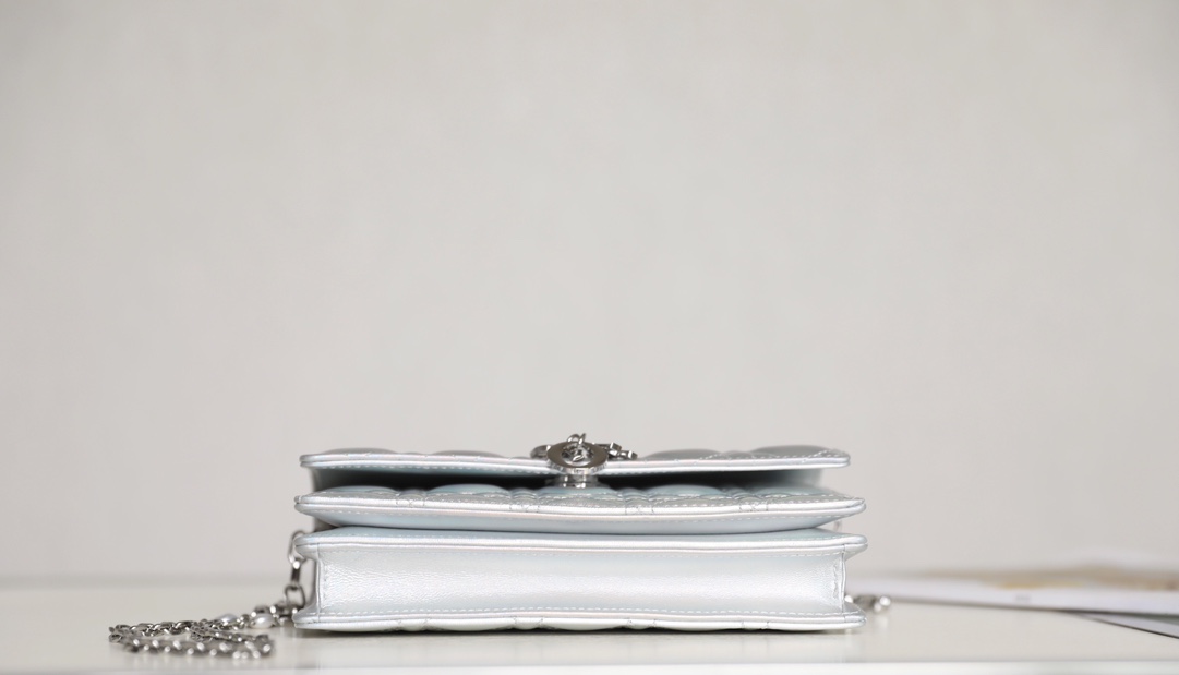 D*or lady pouch-21*11.5*4.5cm