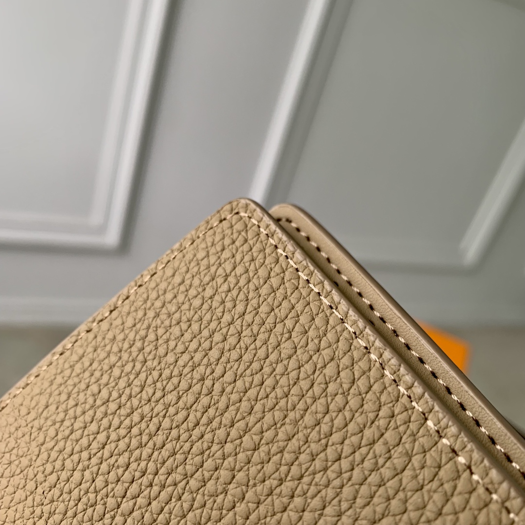 l0*is V*t0n aerogram wallet-8 x 11 x 1cm