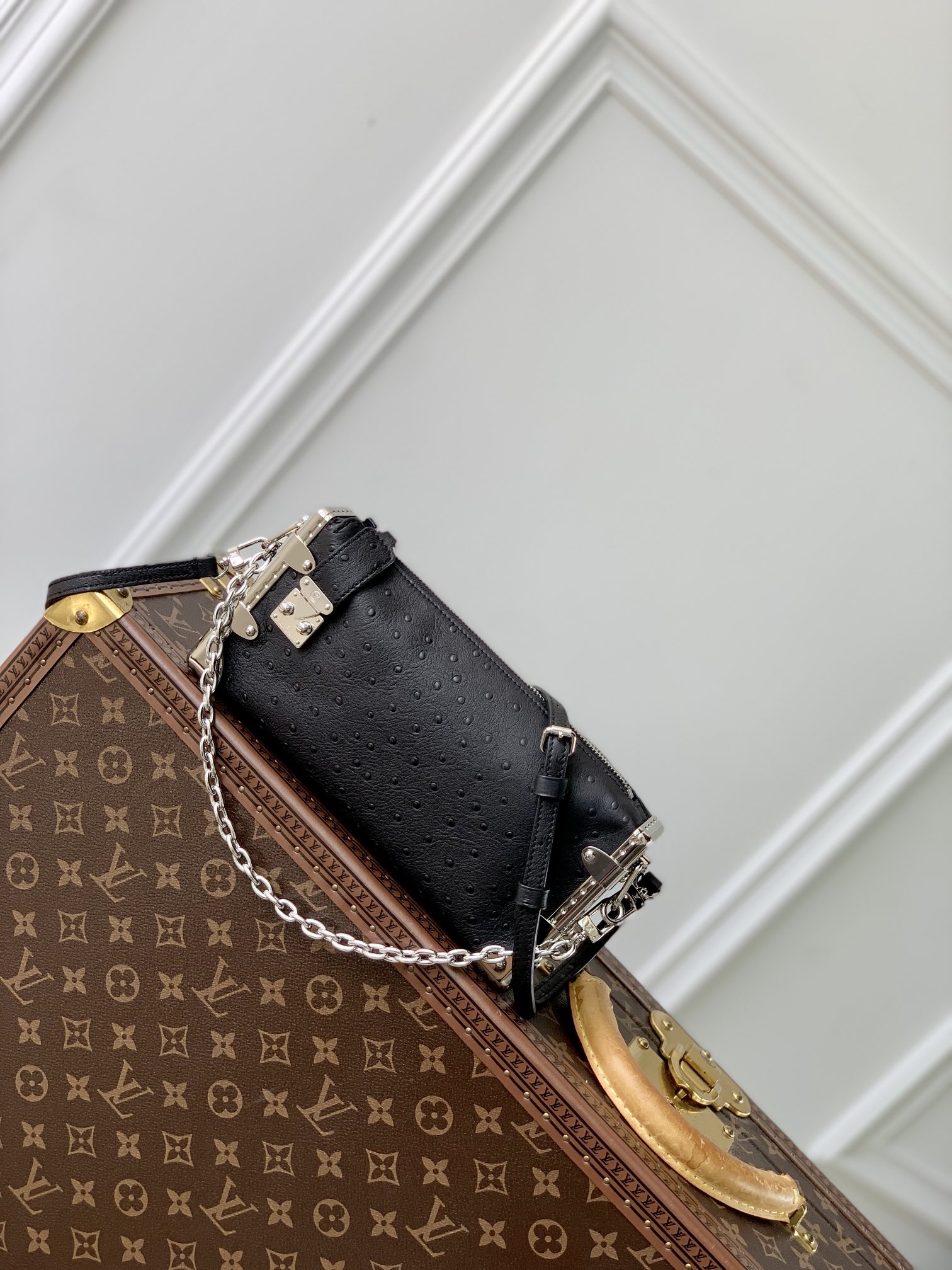l0*is V*t0n slim trunk--m25445-23 x 12 x 4cm