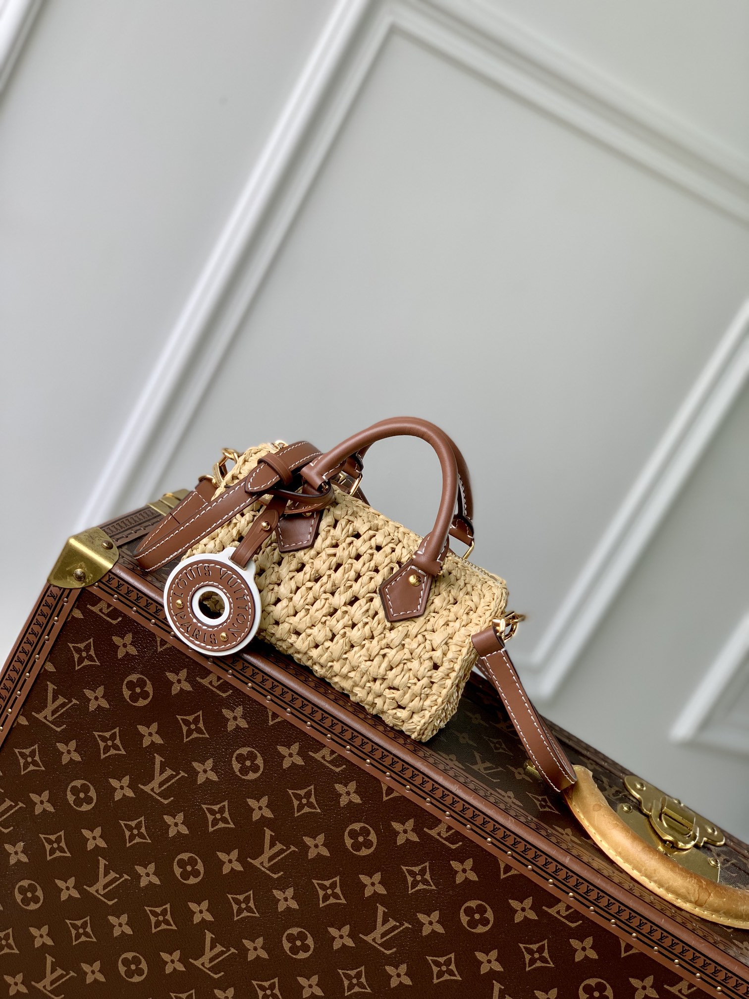l0*is V*t0n nano speedy-16*10*7.5cm
