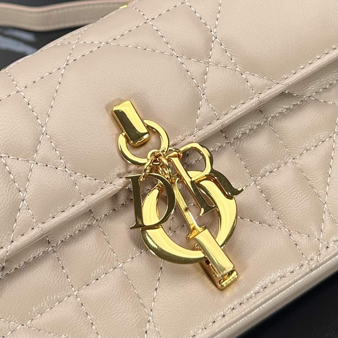 D*or miss daisy bag-22*12.5*4cm