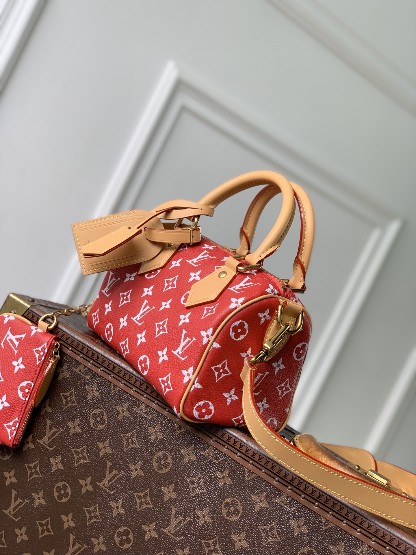 L0vis Vvtt0n Speedy P209 Bandoulière 20 -M28186-22 x 14 x 17.5CM