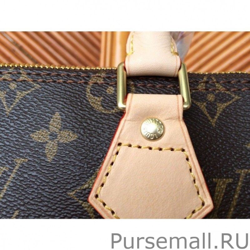 Speedy 25 Monogram Canvas M41528