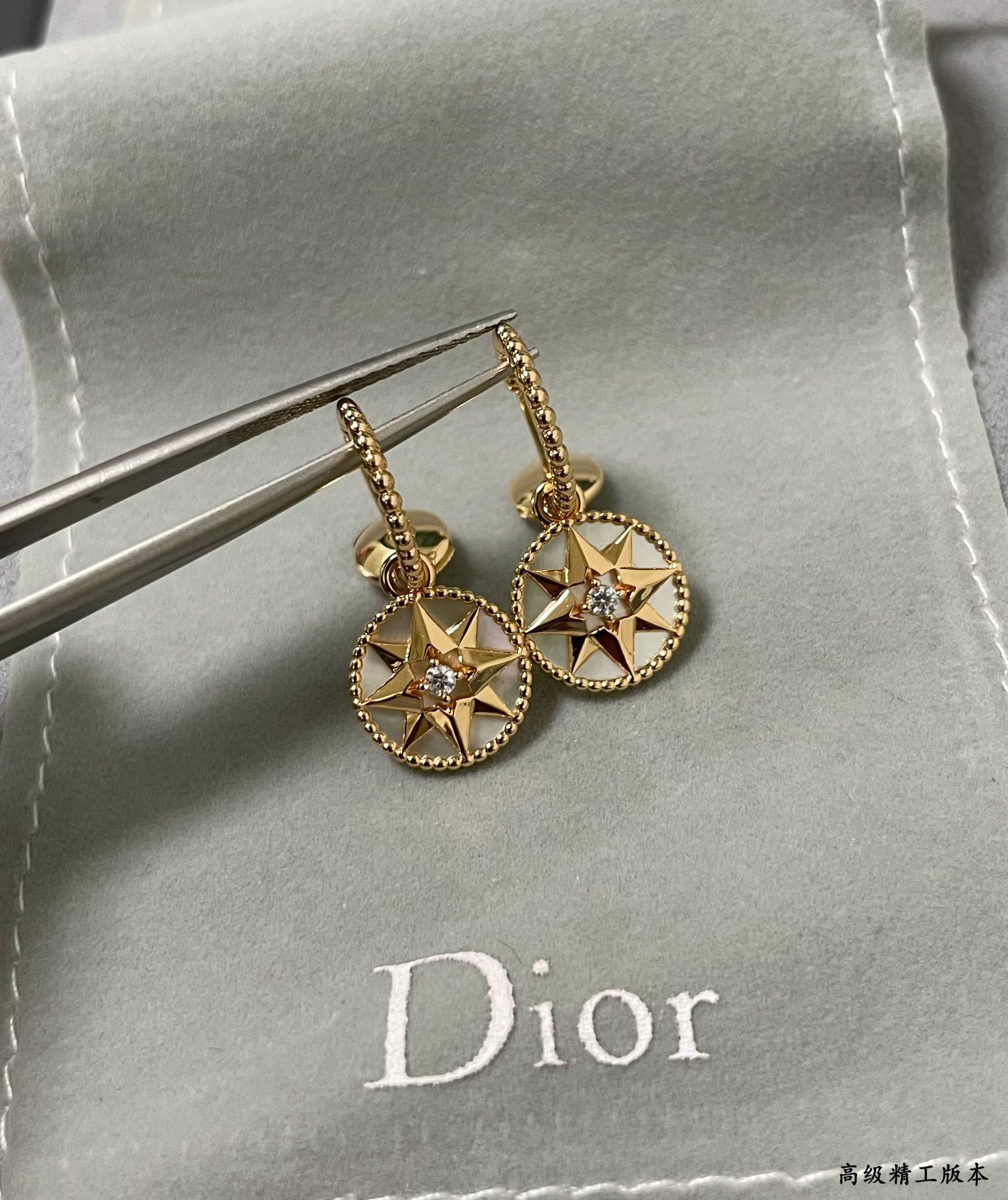 D10r rose des vents earrings