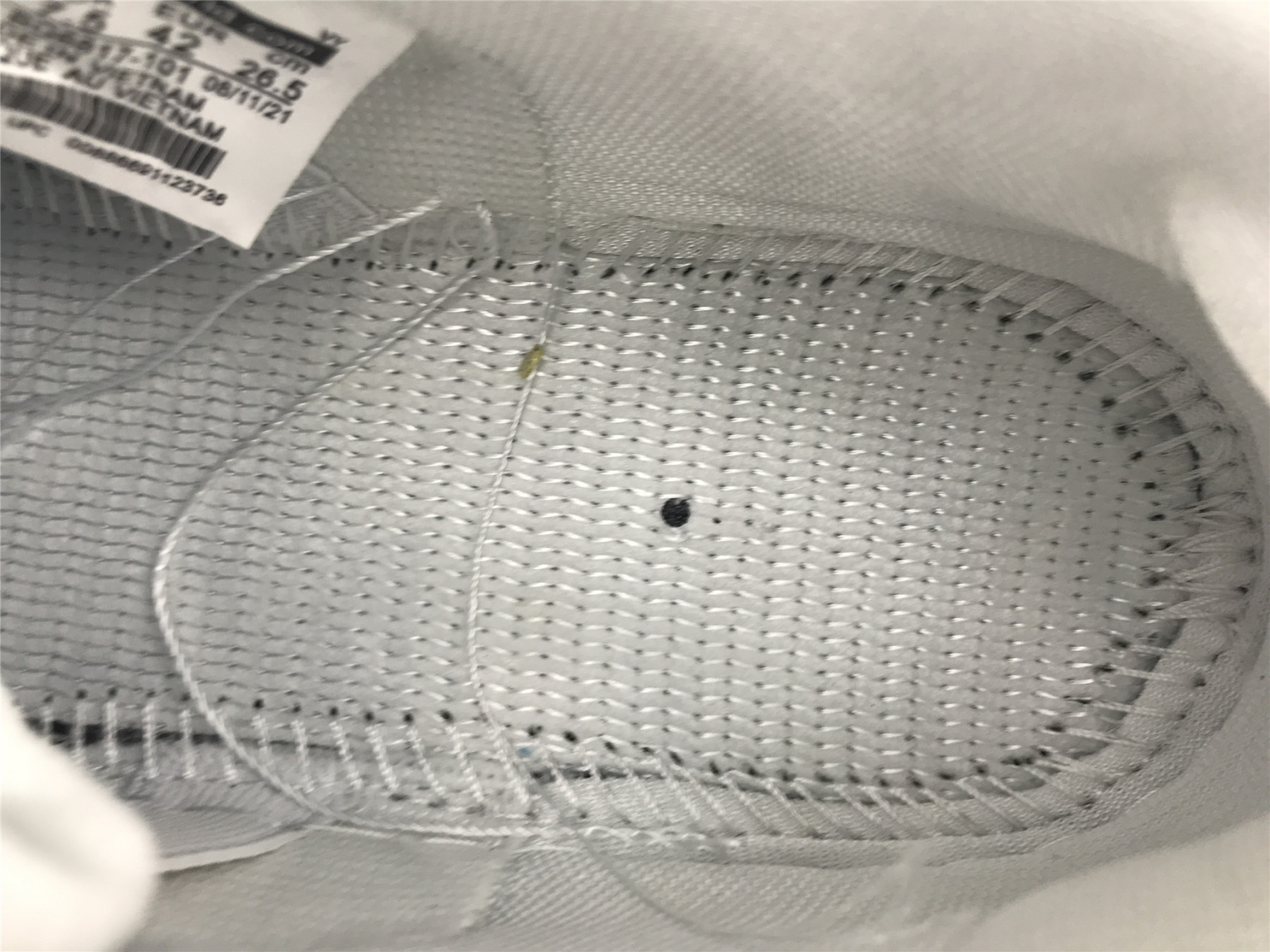 UA DUNK LOW PRO SB 