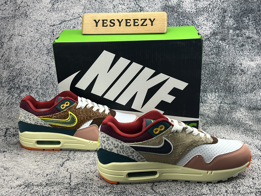 UA Nike Air Max 1 