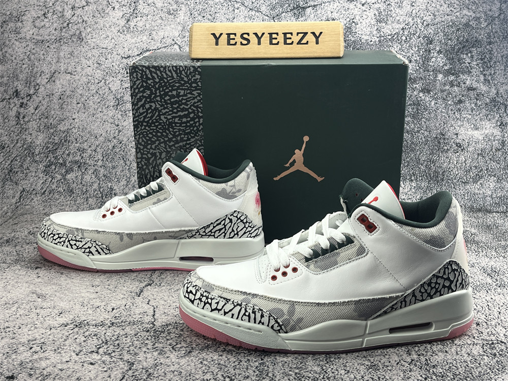 UA Jordan 3 Retro Wings