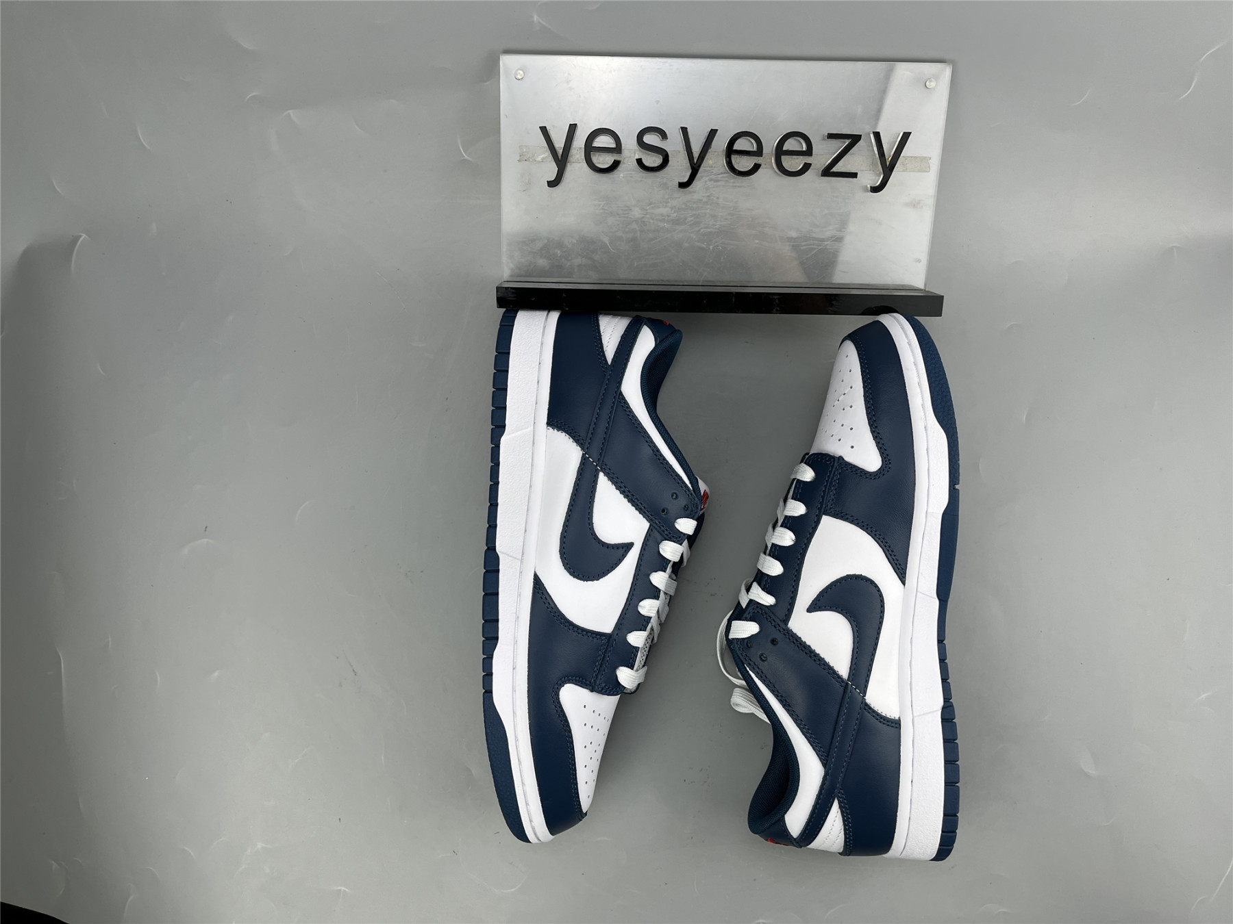 UA NIKE DUNK LOW 