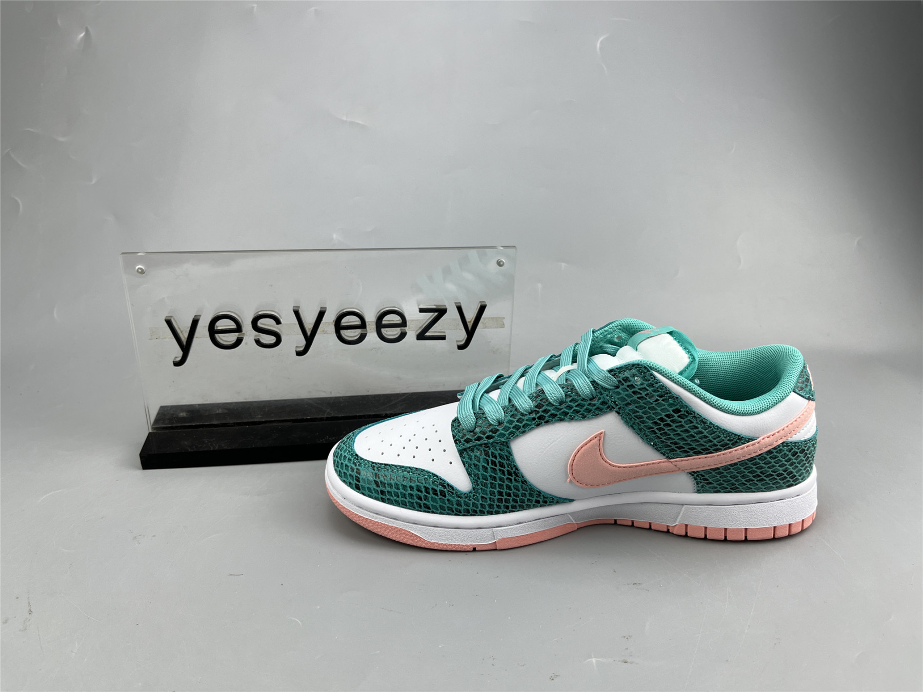 UA NIKE DUNK LOW 