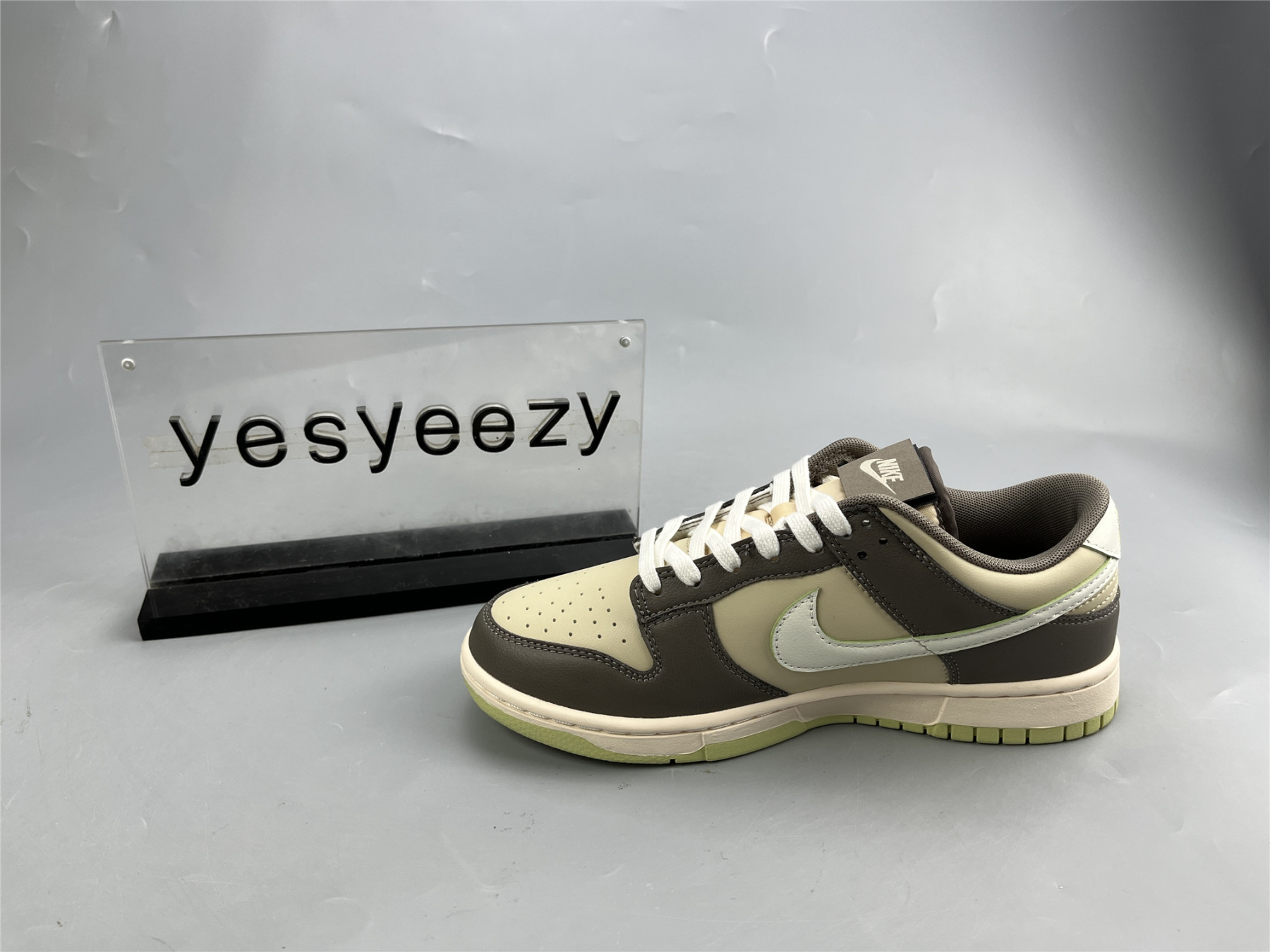 UA NIKE DUNK LOW 