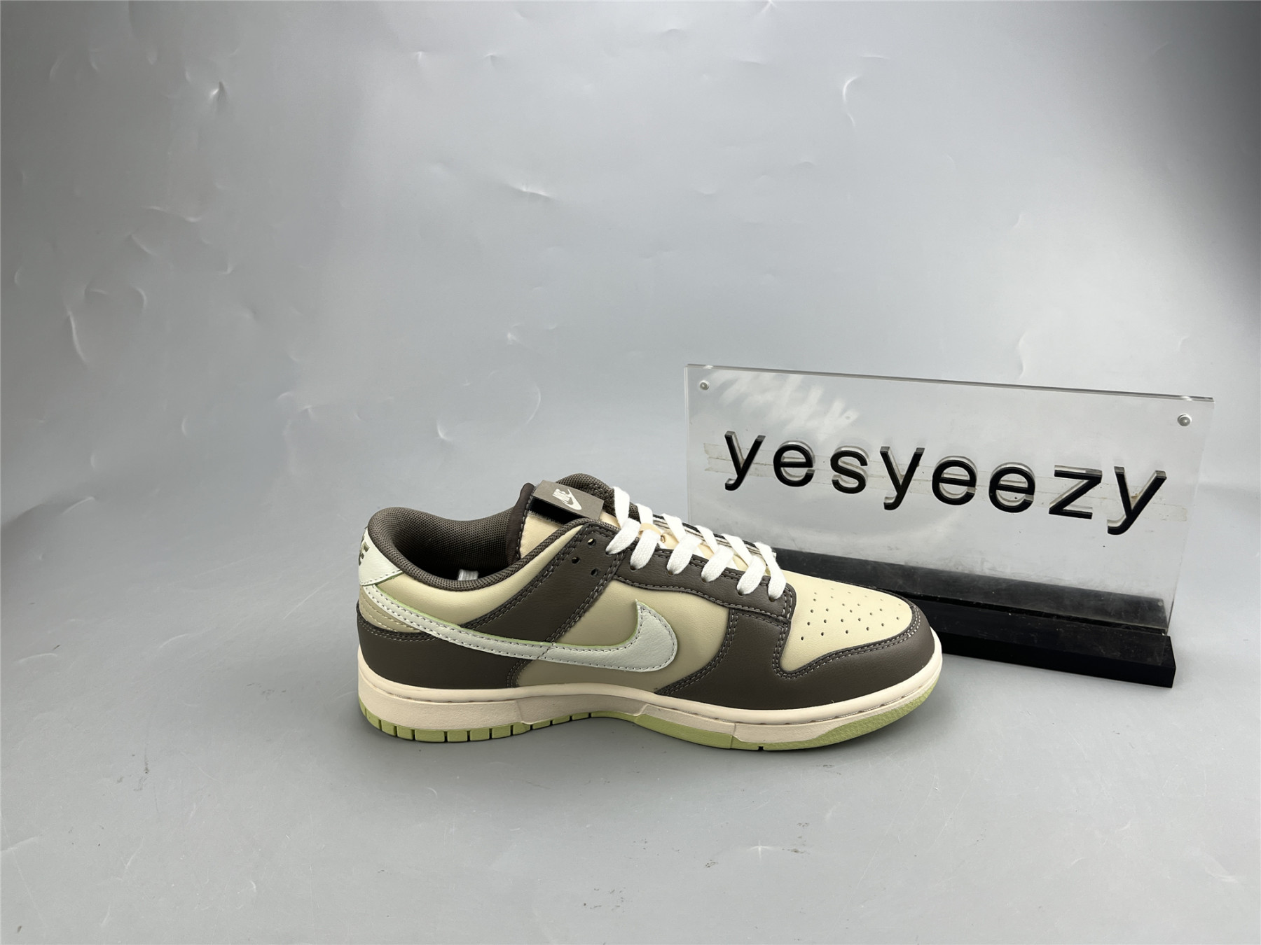 UA NIKE DUNK LOW 