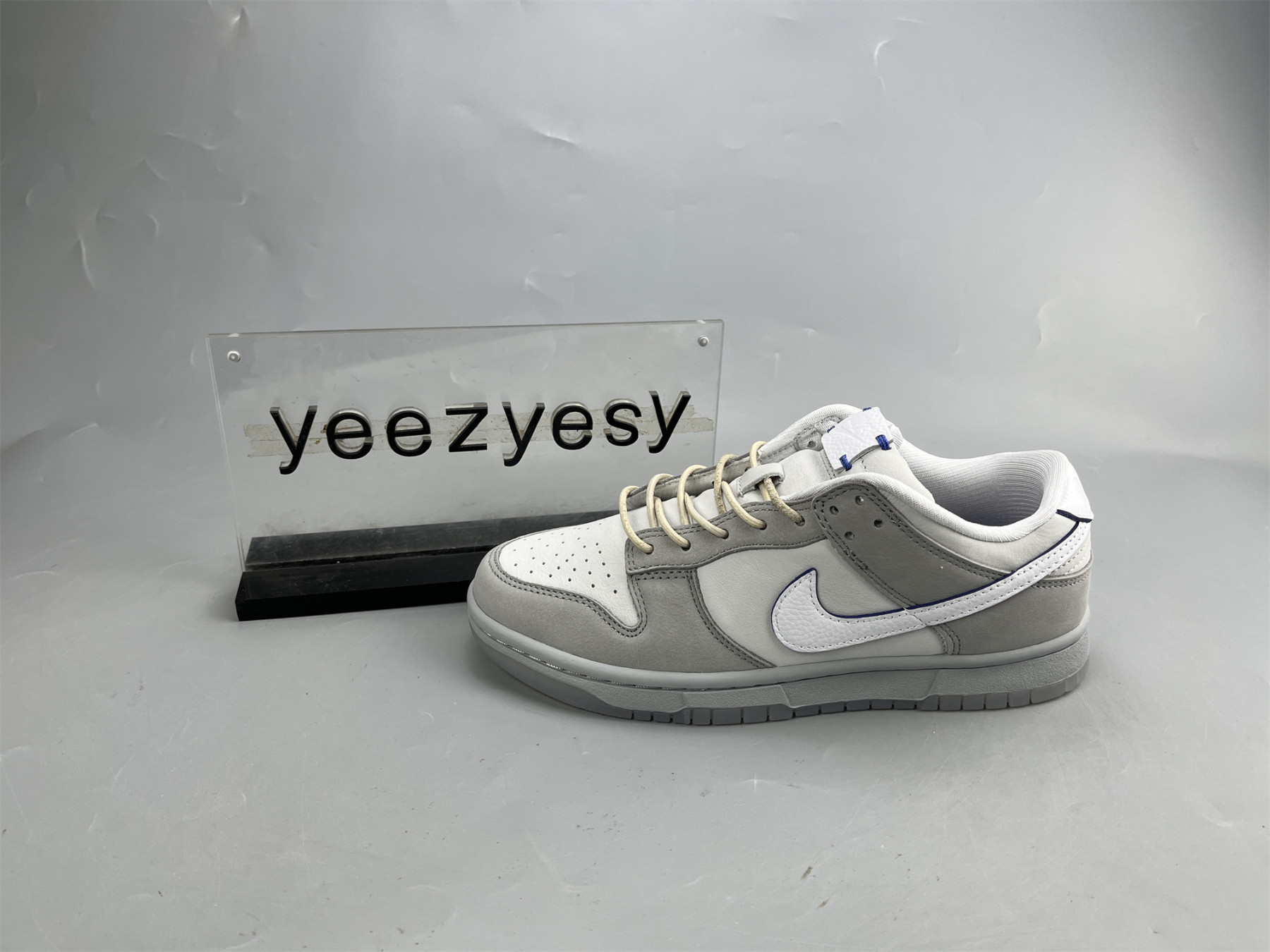 UA NIKE DUNK LOW 