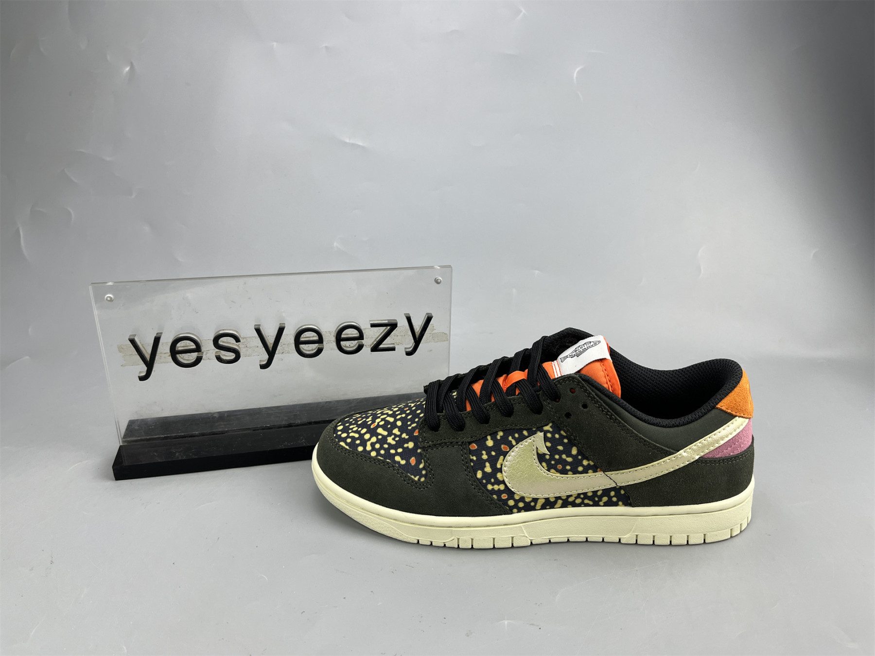 UA NIKE DUNK LOW PRO SAFARI