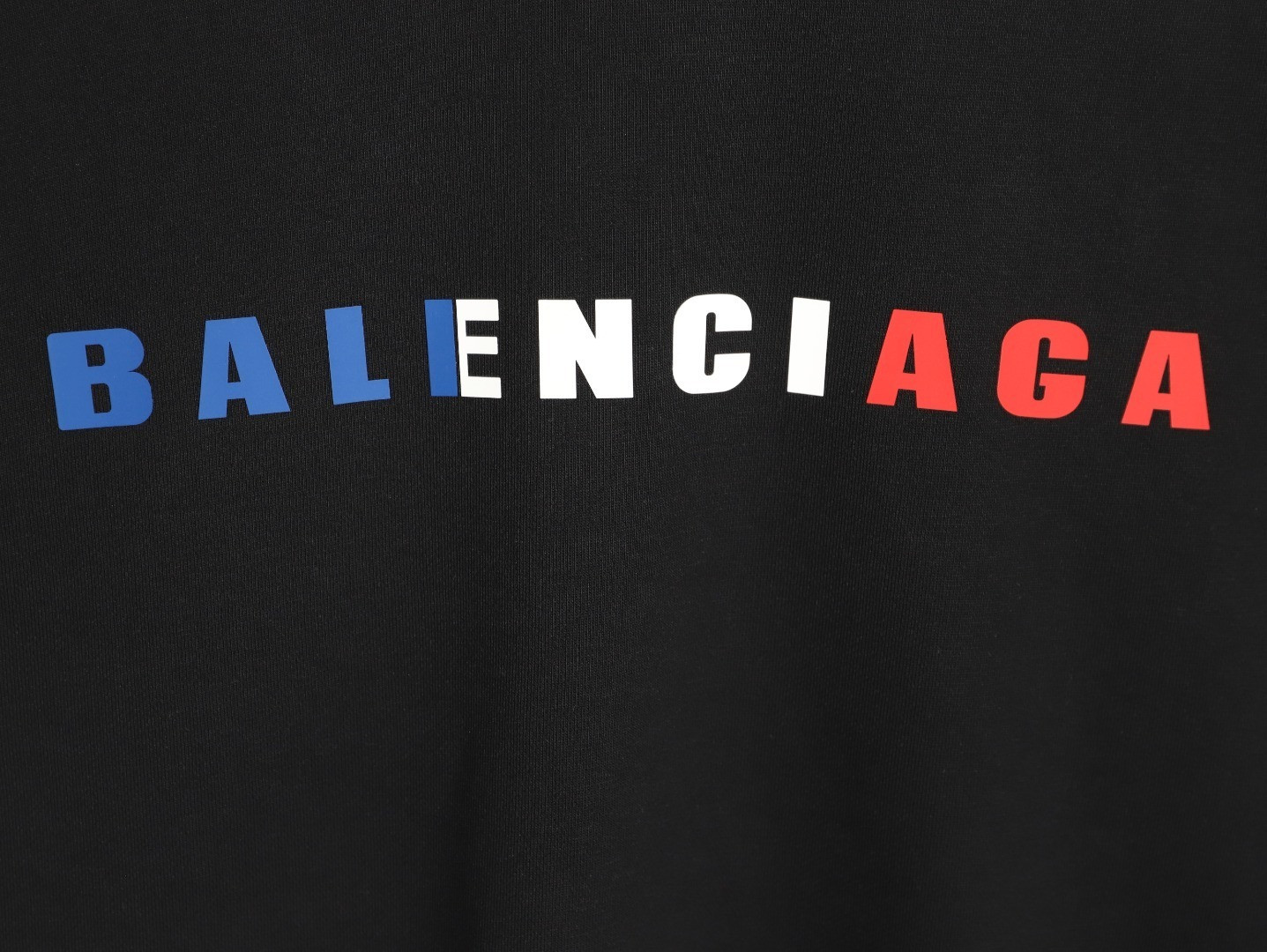 Ba1en*iaga 25FW Hoodies
