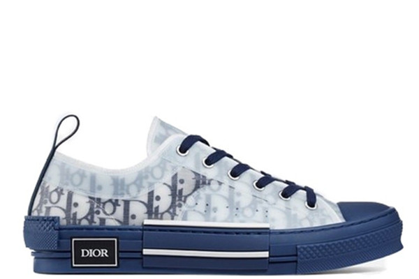 UA D10r B23 LOW TOP BLUE OBLIQUE