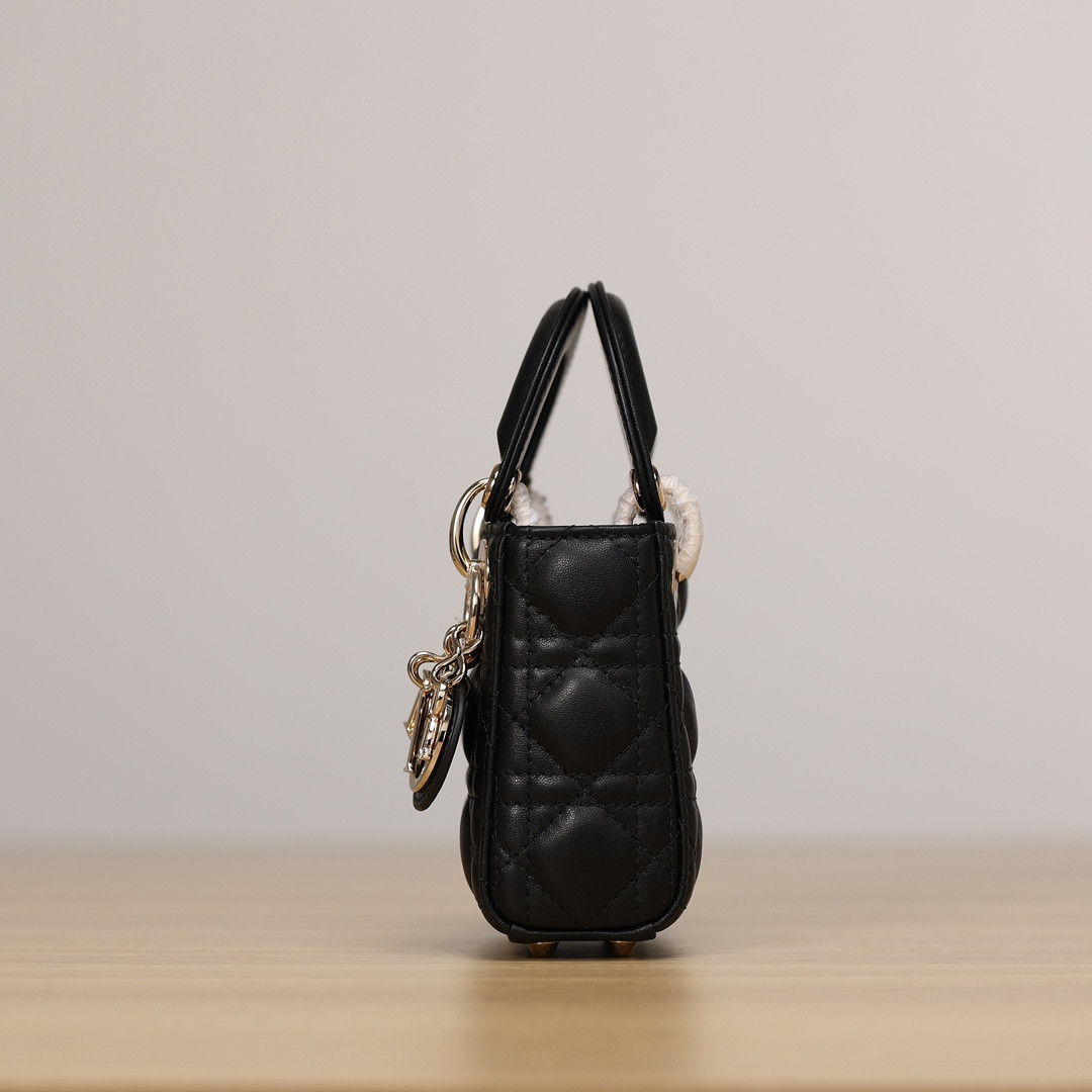 D10r Micro Lady Bag 12×10.2×5cm