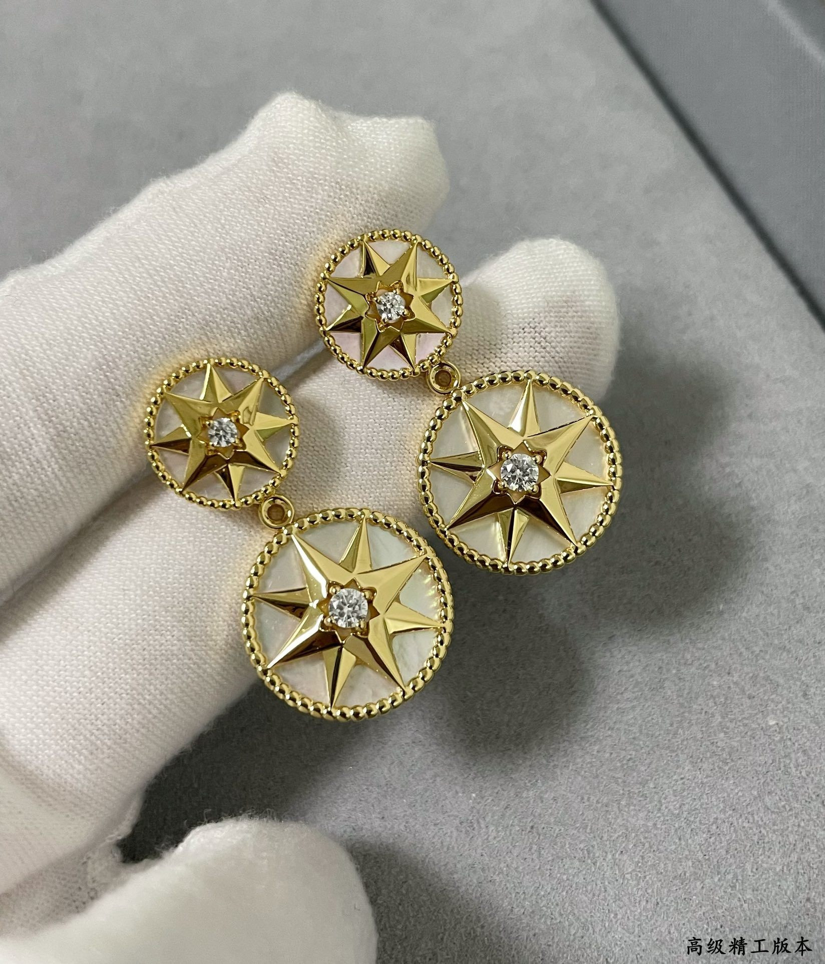 D10r rose des vents earrings