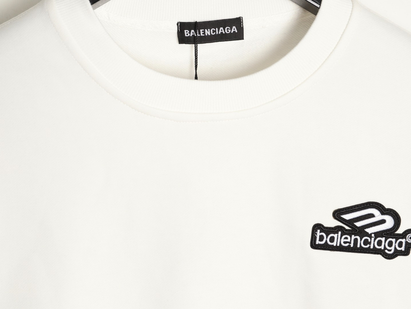 Ba1en*iaga 25FW Hoodies