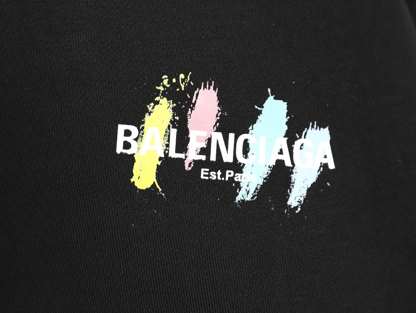 Ba1en*iaga 25FW Hoodies