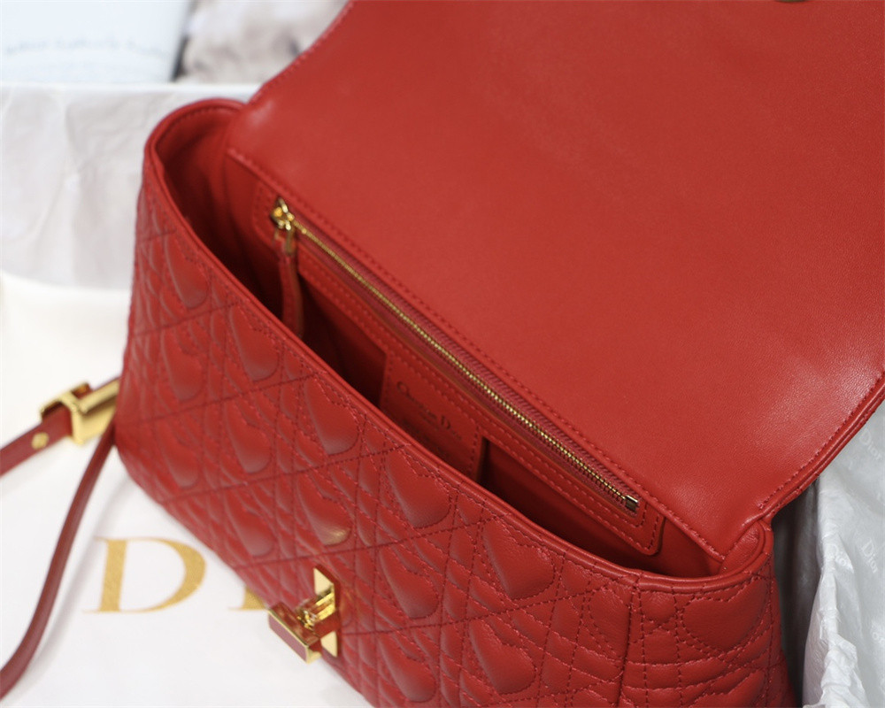 MEDIUM D10r CARO BAG amour red 25.5 x 15.5 x 8 cm