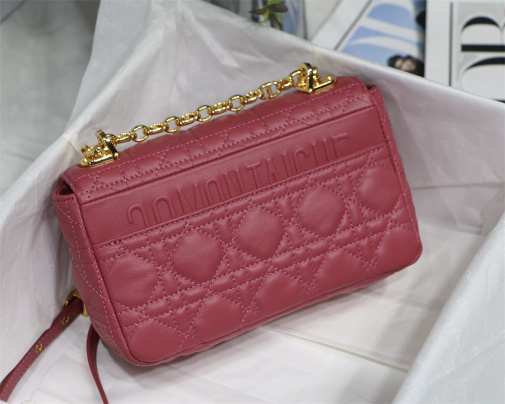 SMALL D10r CARO BAG Light red S*pple Cannage Calfskin 20 x 12 x 7 cm