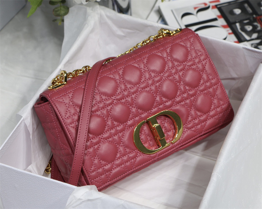 MEDIUM D10r CARO BAG S*pple Cannage Calfskin 25.5 x 15.5 x 8 cm