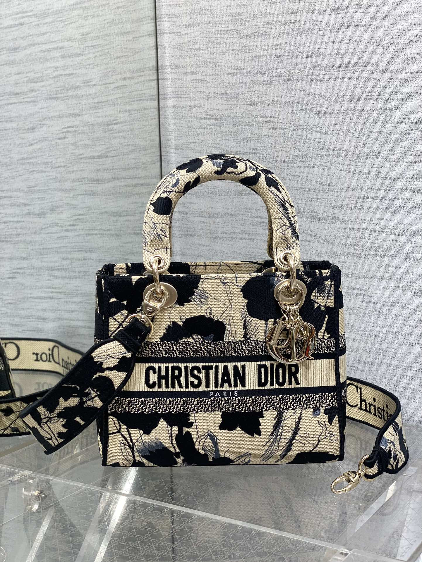 D10r Lady Bag 24x11x20cm