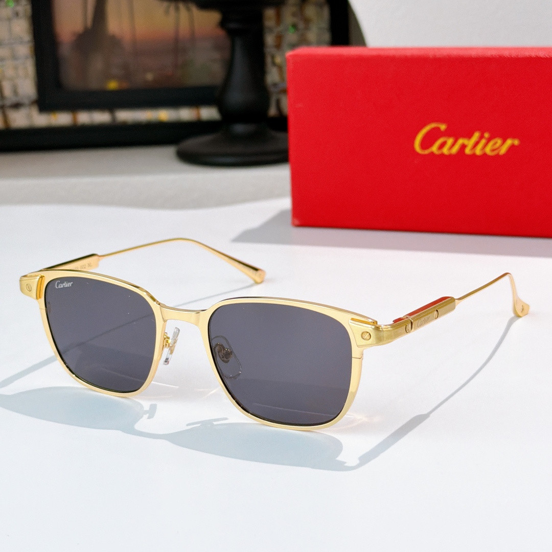 Ca*t1er Glasses