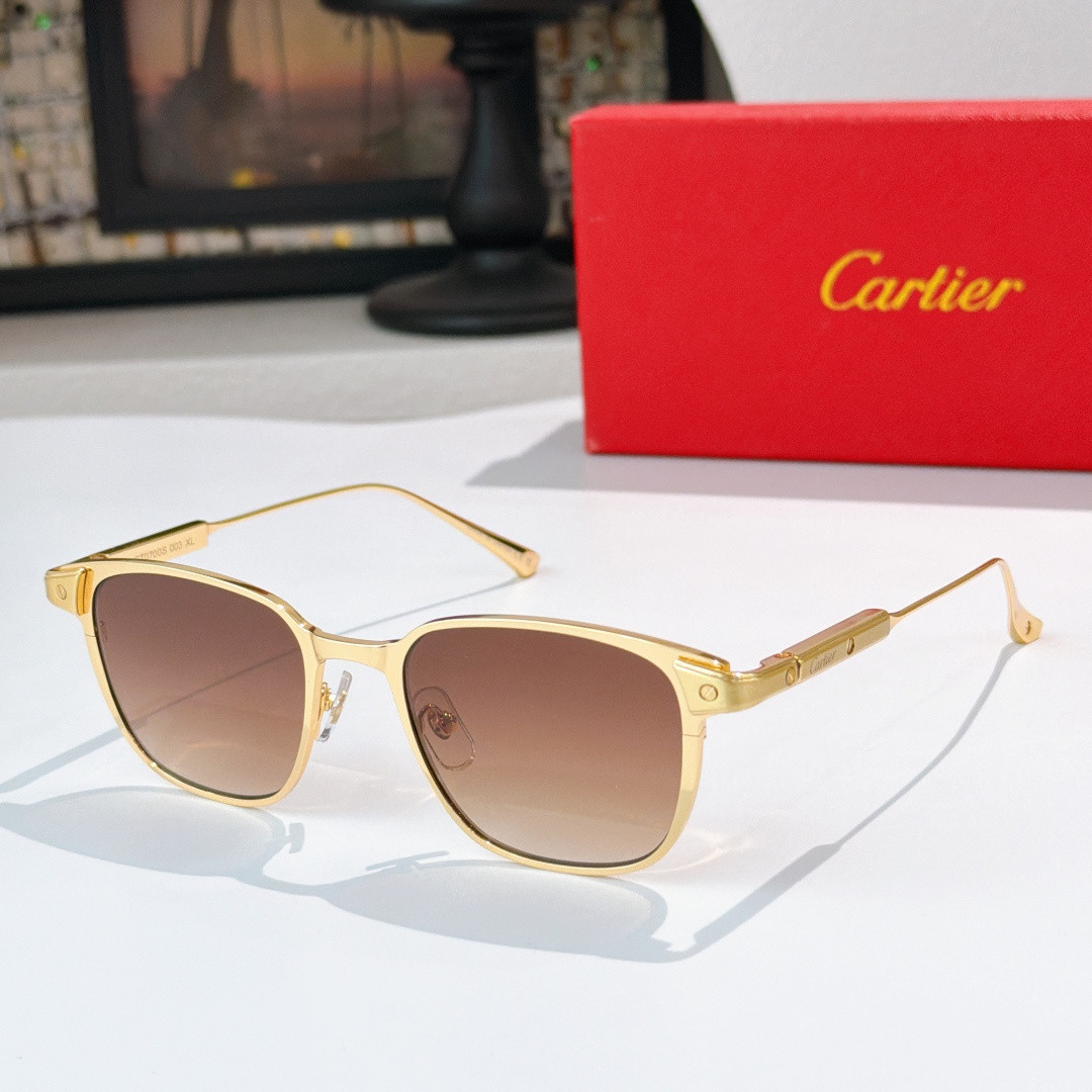 Ca*t1er Glasses